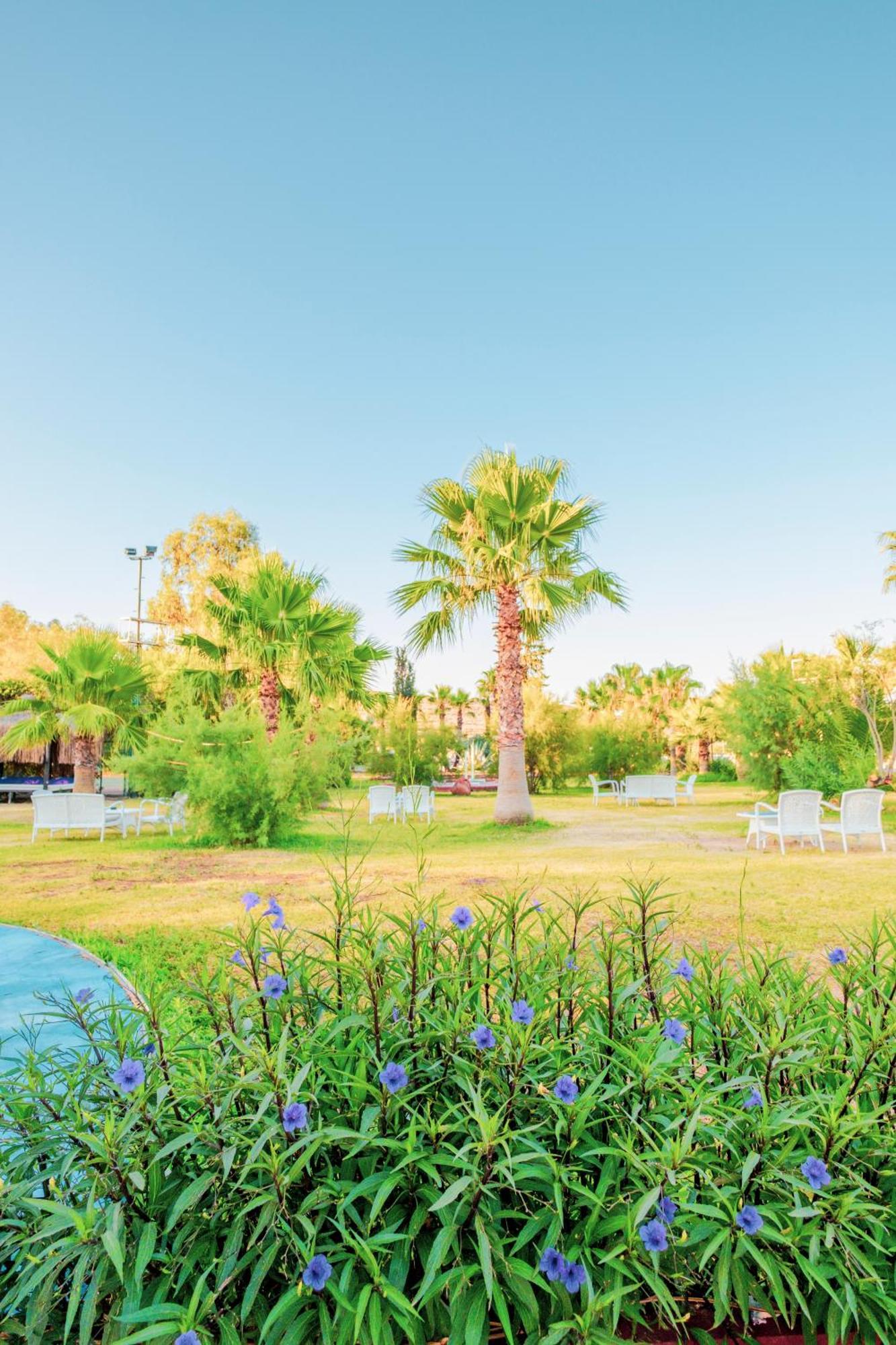 Ladonia Hotels Del Mare (Adults Only) غومْبيت المظهر الخارجي الصورة